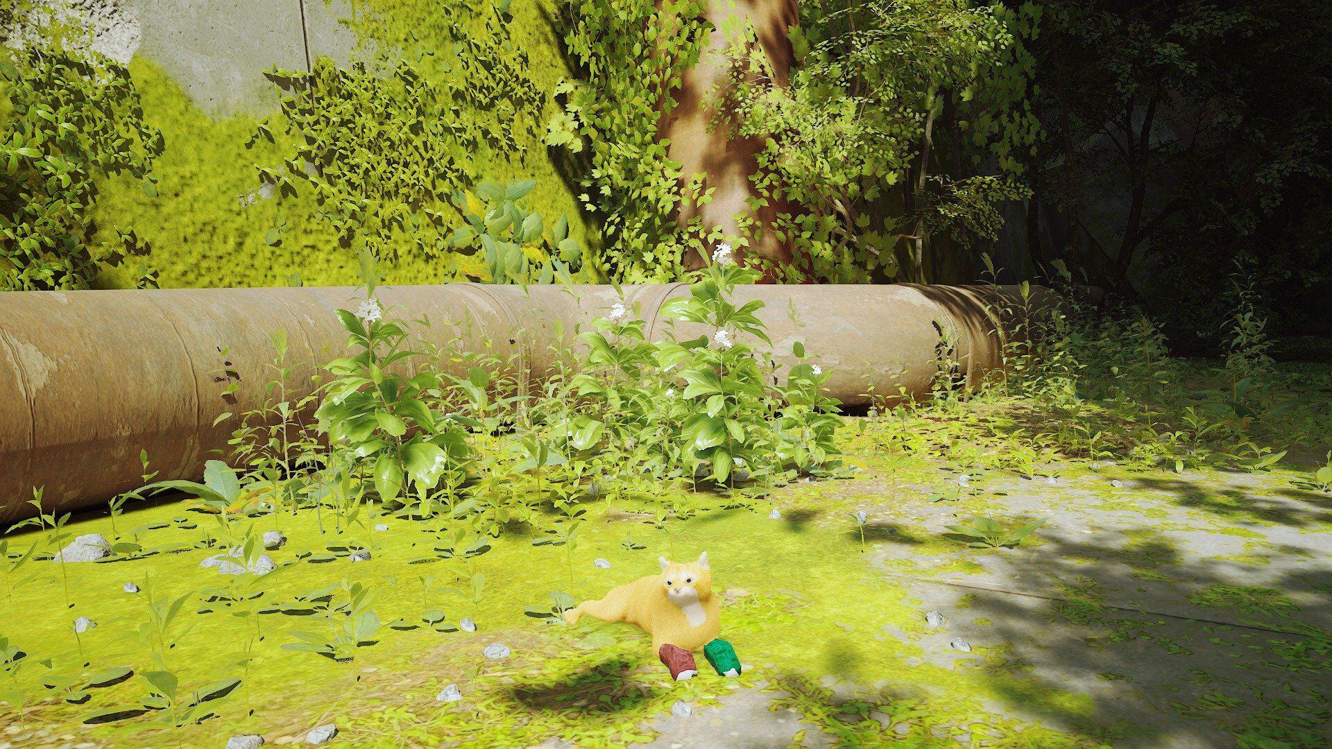 Las primeras capturas de pantalla  del mod de Tater Tot dentro del videojuego Stray (Facebook Tater Tot and Spudbuds)