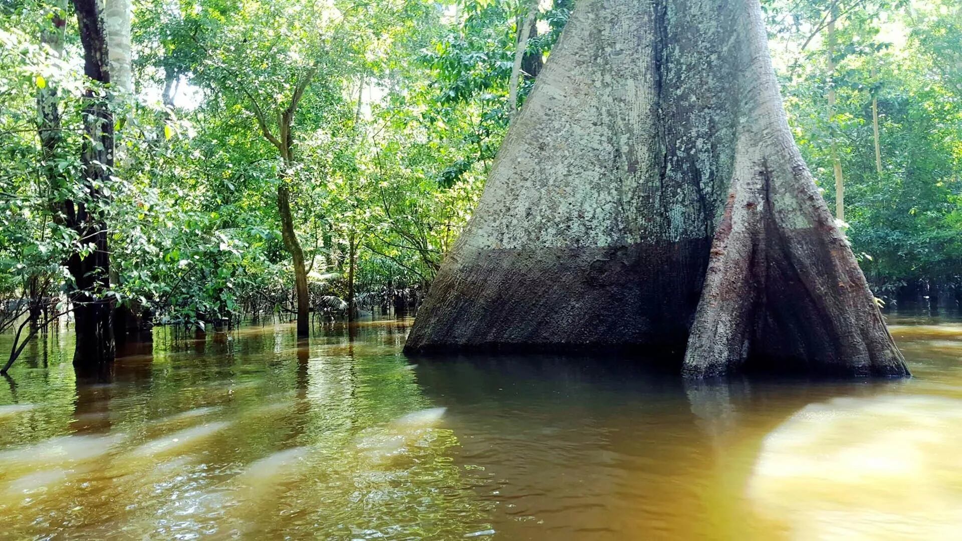 Hasta la fecha, menos de 10 personas han recorrido todo el río Amazonas en una sola expedición, afirma Sanada. © divulgação Aventura Produções
