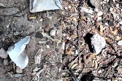 Luego de cuatro horas de registros aún se hallaban restos pequeños de huesos (Foto: Twitter/Madres Buscadoras de Sonora)
