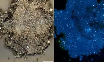 Análisis de una roca de Bennu. En azul y bajo microscopio electrónico se observan partículas orgánicas blancas que asombraron a los científicos (NASA)