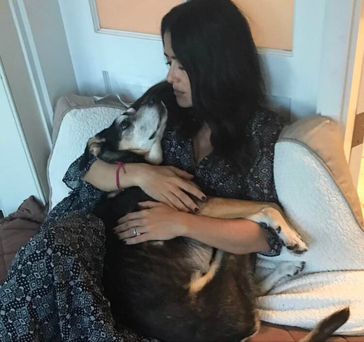 Salma con su perrita Lupe (Instagram: salmahayek)
