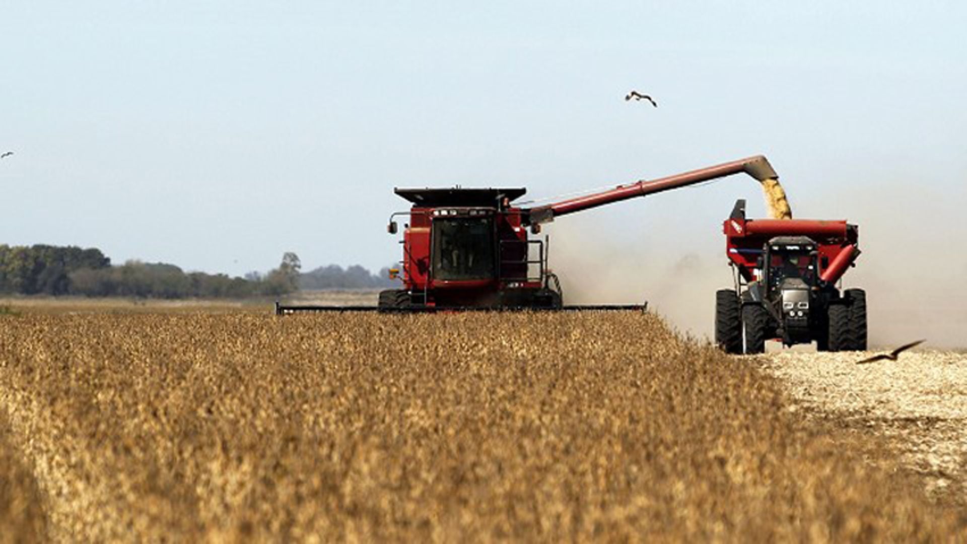 La agricultura volvió a caer con fuerza en febrero y acumula una baja del 20% interanual en los primeros dos meses del año.