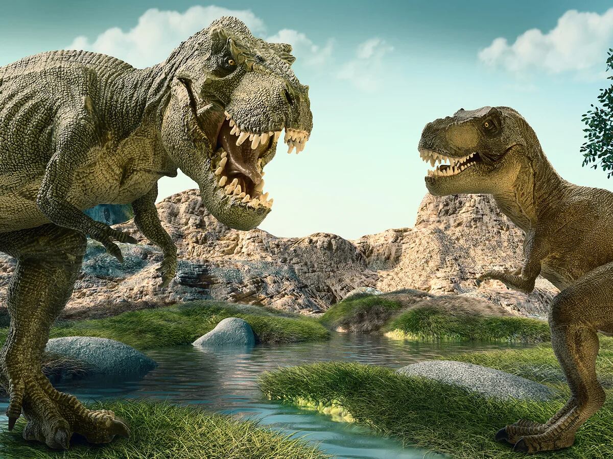 Los dinosaurios se extinguieron por asteroides o volcanes? Es complicado -  Infobae
