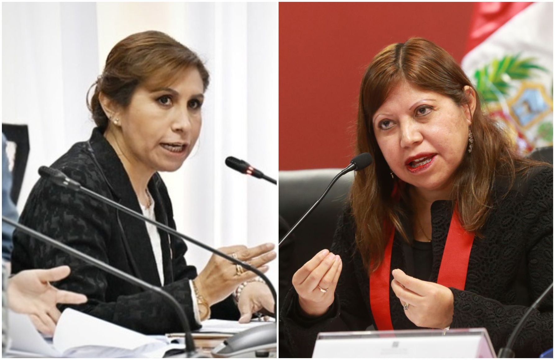 Patricia Benavides y su hermana. La congresista Susel Paredes encabeza un pedido para que Patricia Benavides difunda sus trabajos académicos