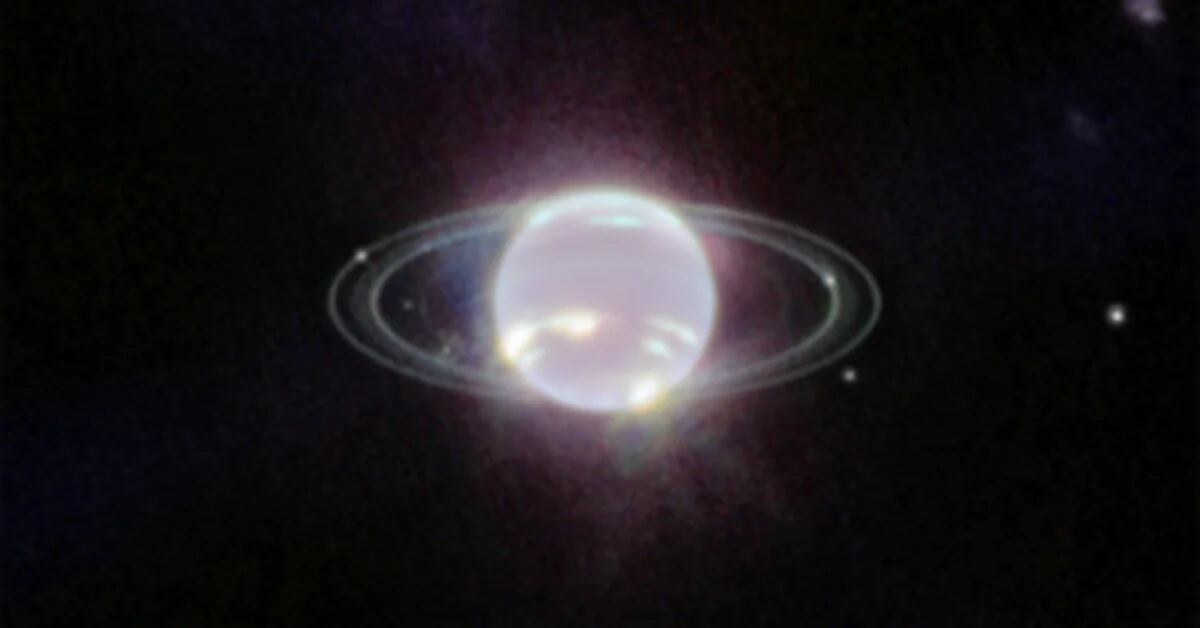 Il telescopio James Webb ha catturato la vista più incredibile di Nettuno, dei suoi anelli e delle sue lune.