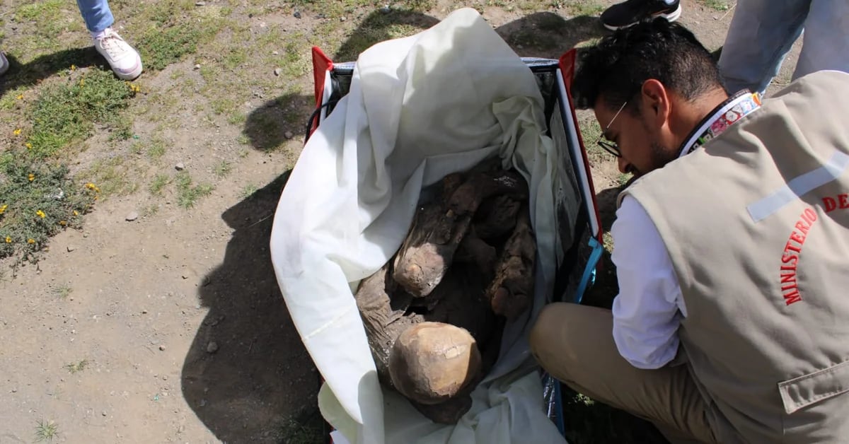 The bizarre moment police found a mummy in a delivery man’s backpack in Peru