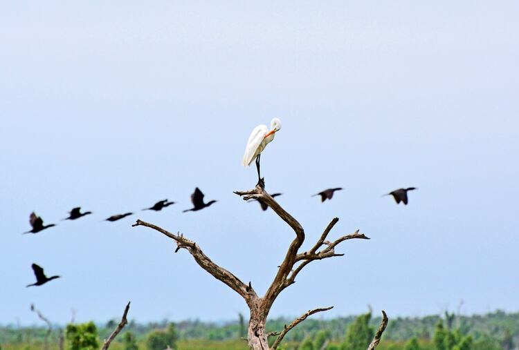 Argentina posee múltiples atractivos tanto para los turistas locales, como para quienes la visitan desde otros países del mundo (Shutterstock)