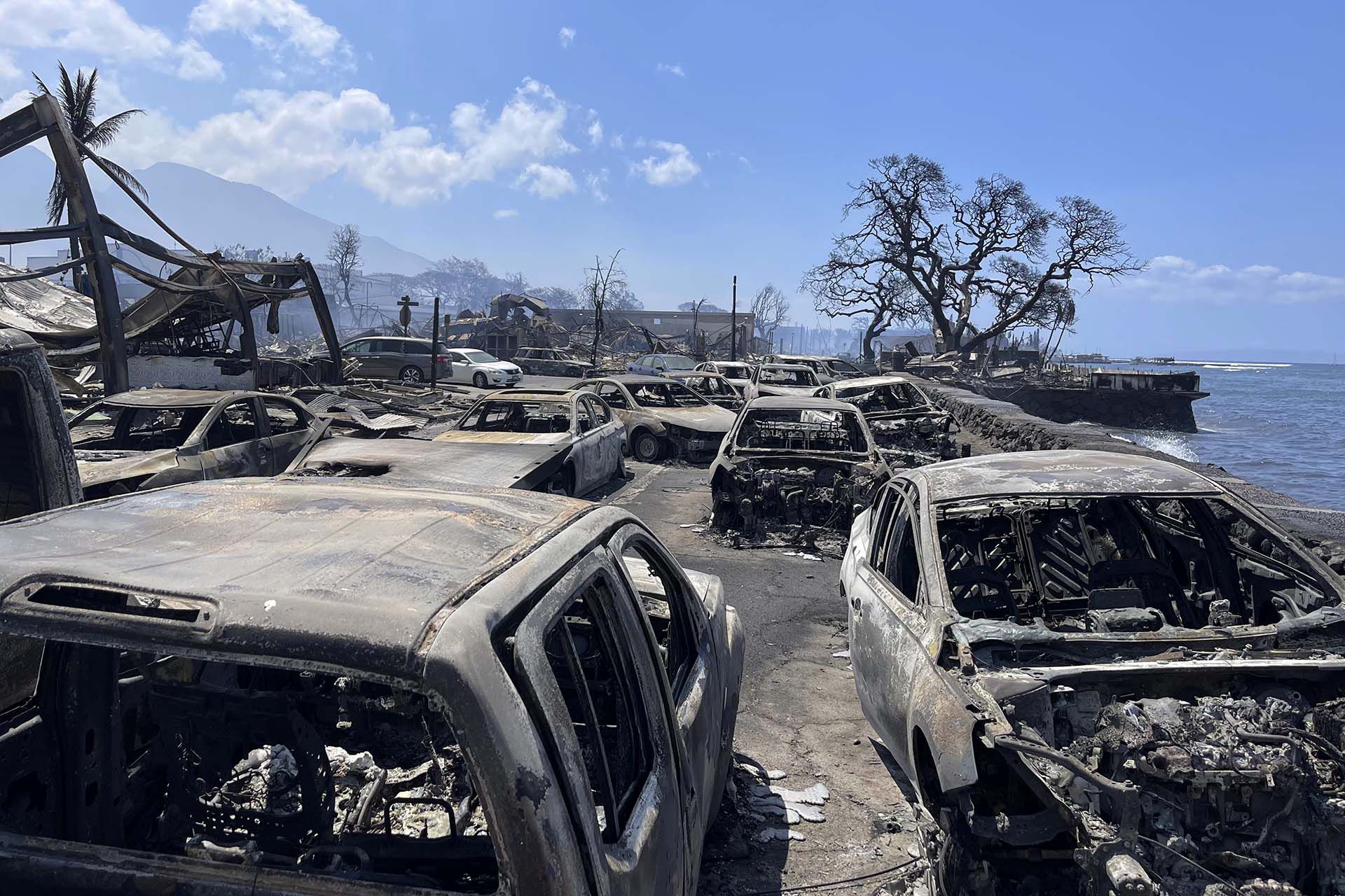 Autos quemados después de que un incendio forestal arrasara Lahaina, Hawaii, el miércoles 9 de agosto de 2023 (Tiffany Kidder Winn vía AP)