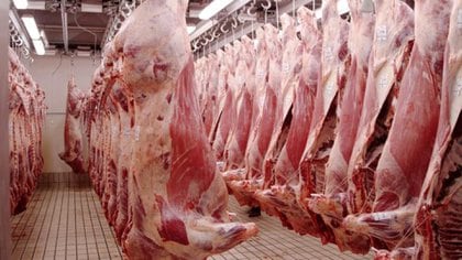 Las exportaciones de carne vacuna a los Estados Unidos crecieron casi un 2.400 % en lo que va del año