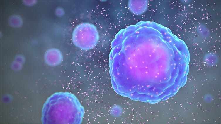 “El CD47 envía una señal que evita que las defensas del sistema inmunológico destruyan accidentalmente las células sanas”, determinó el estudio