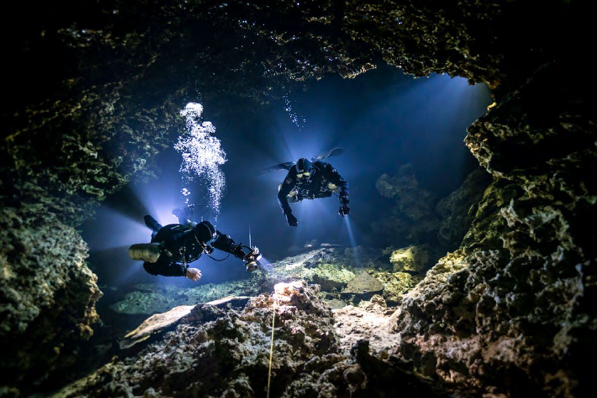 Fotos subacuáticas 2021