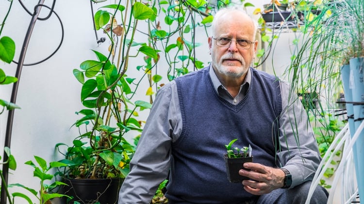 Stuart Strand el investigador que hizo posible el desarrollo de la planta (Foto: Universidad de Washington)