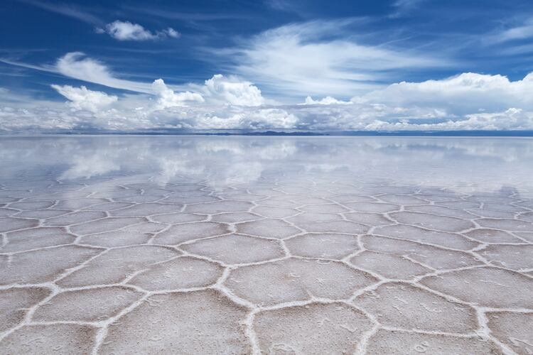 El salar de Uyuni es el mayor desierto de sal continuo y alto del mundo, con una superficie de 10 582 km².​ Está situado a unos 3650 msnm en el suroeste de Bolivia, en la provincia de Daniel Campos, en el departamento de Potosí. En ciertas épocas del año, los lagos cercanos se desbordan y una fina capa de agua transforma los pisos en un deslumbrante reflejo del cielo