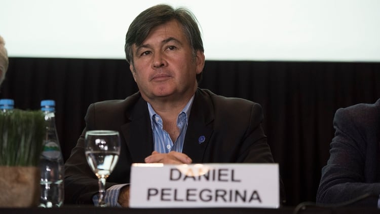 Daniel Pelegrina, presidente de la SRA (AdriÃ¡n Escandar)