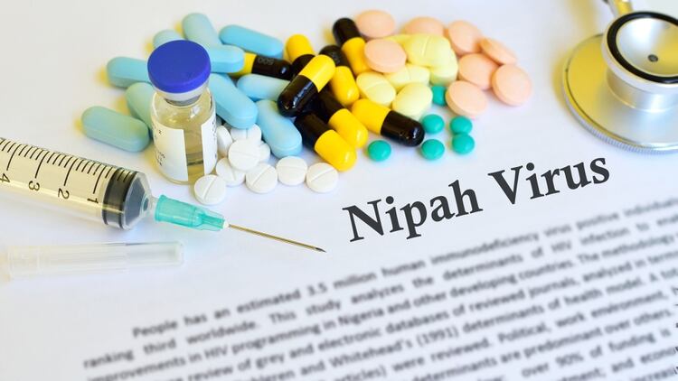 La mitad de los pacientes con el virus Nipah presentan un severo cuadro neurológico. Las secuelas de la enfermedad consisten en convulsiones y cambios en la personalidad (Shutterstock)