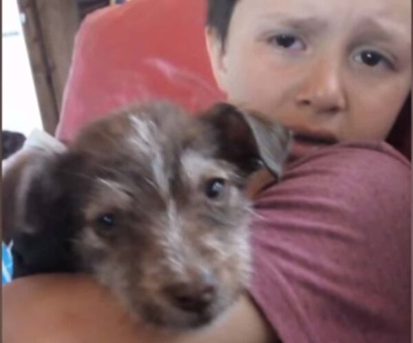 A los 7 años salvó a un perro que estaba por ser ahogado. (Captura Canal 3, Rosario).