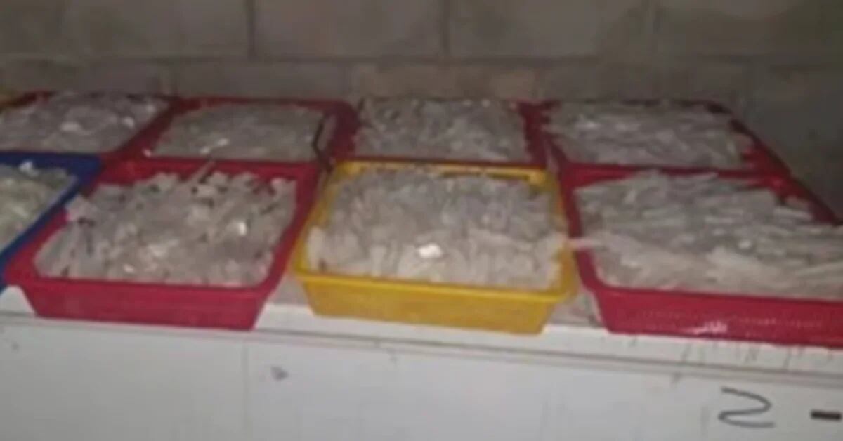 Sedena seized more than a ton of methamphetamine in Sinaloa
