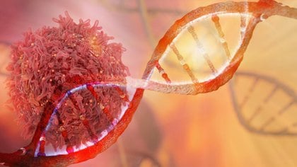 Los investigadores buscan evitar que las células cancerosas puedan reparar su ADN, lo cual podría detener la propagación de la enfermedad (Shutterstock) 