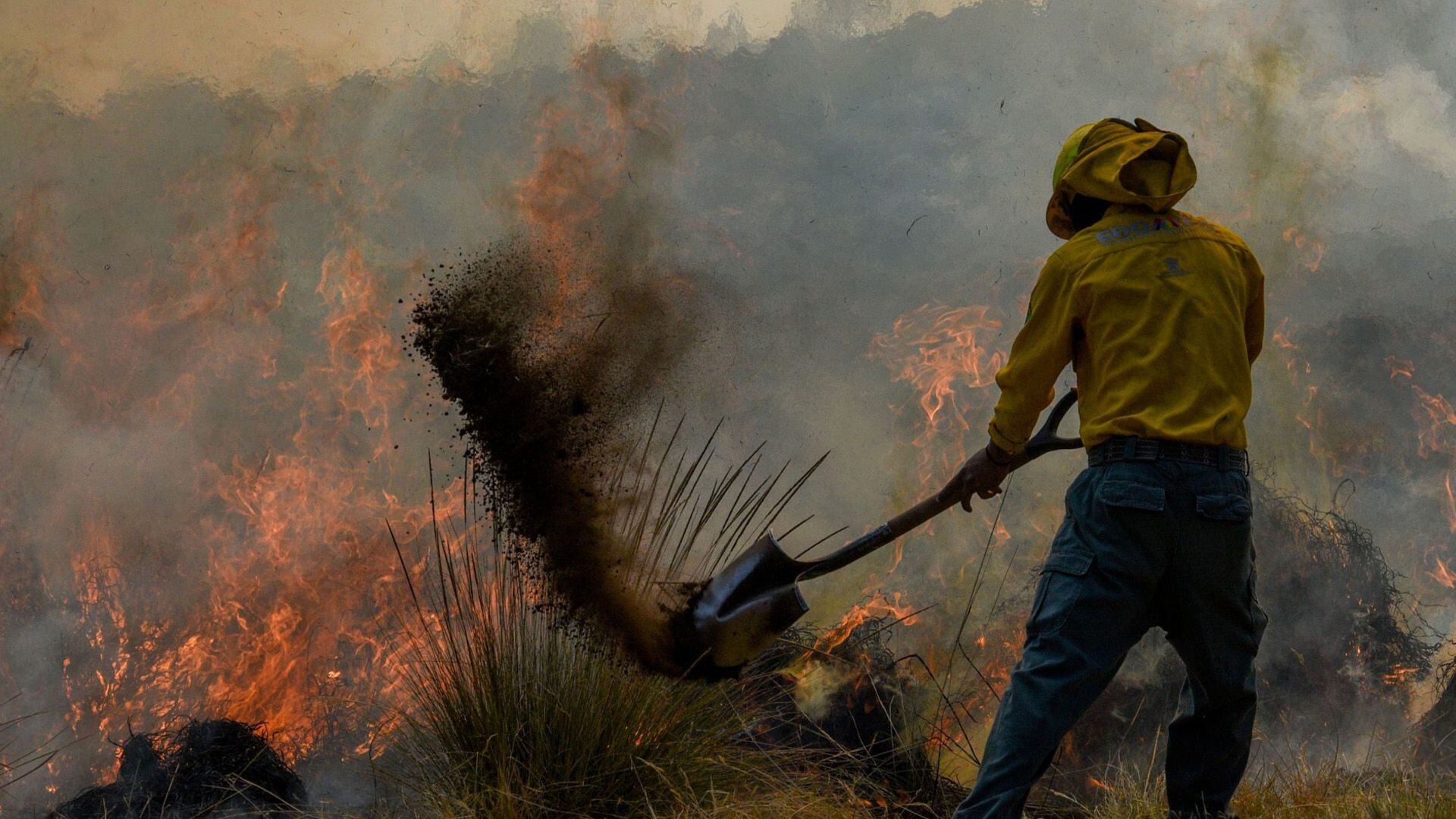 Actualmente hay más de 8 incendios activos en el país.incendios forestales, Conagua