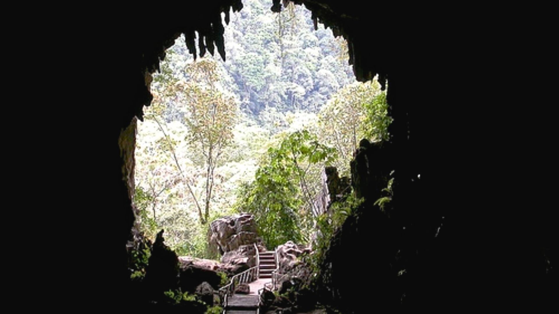 Cueva de las Lechuzas en el Parque Nacional Tingo María. (Andina)