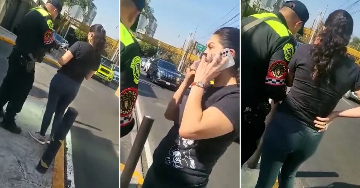 Lady Anubis: A woman was recorded threatening traffic cops for breaking her