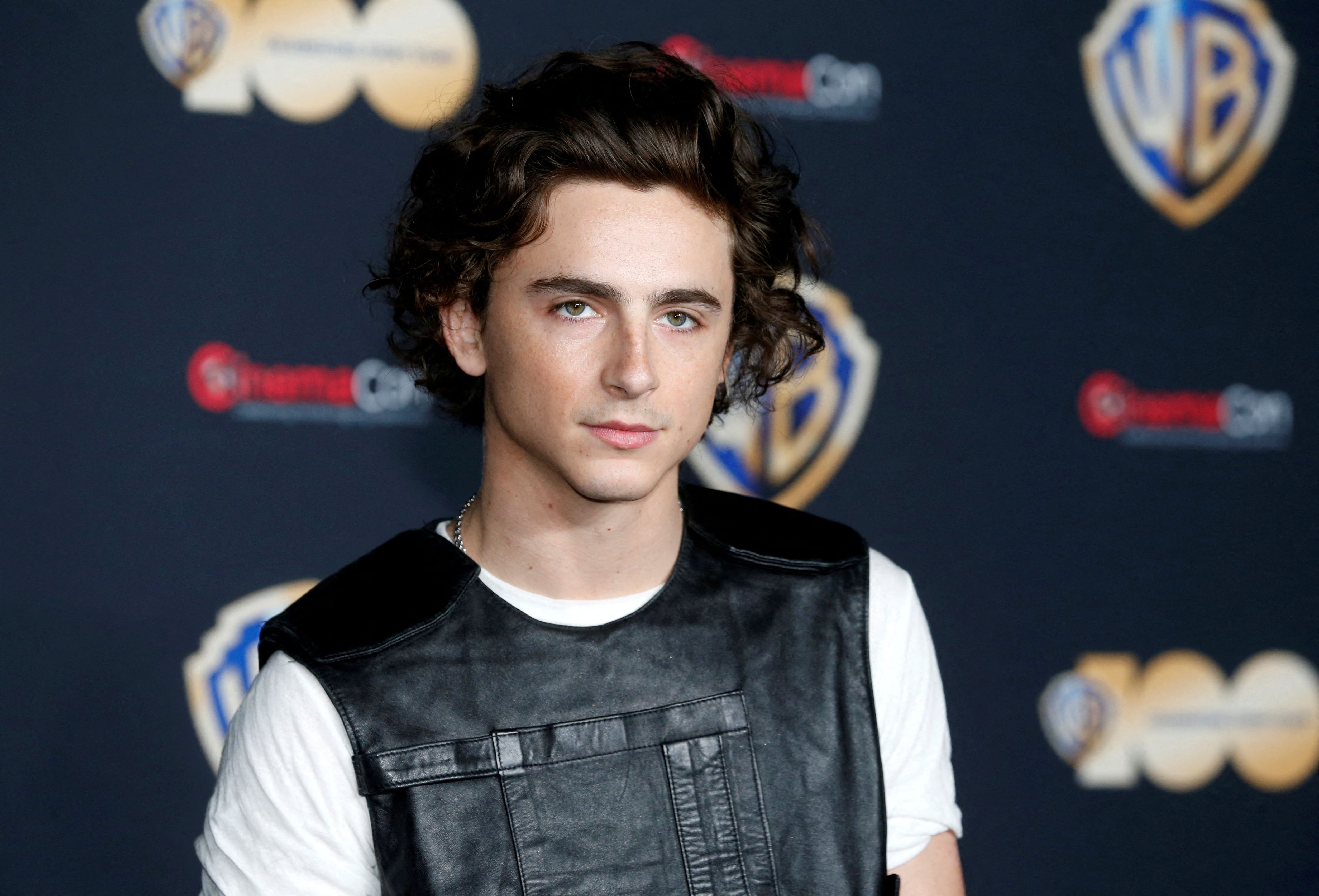 Timothée Chalamet - Figure 6