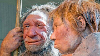¿Somos más felices que los neandertales?