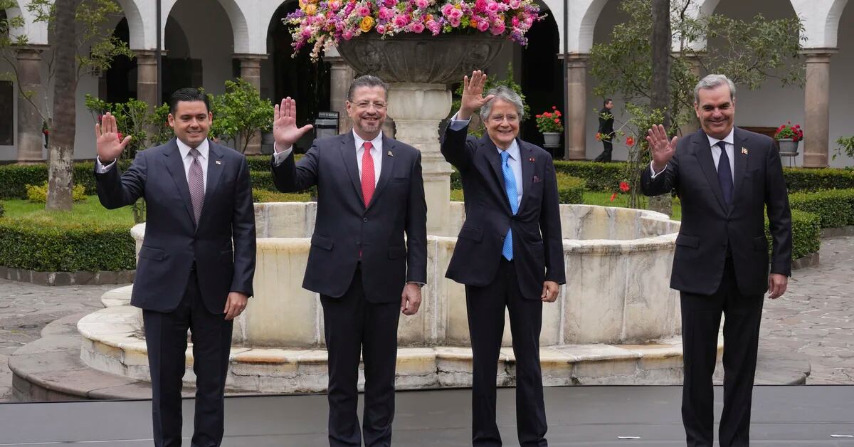 Three countries and the OAS support democracy in Ecuador