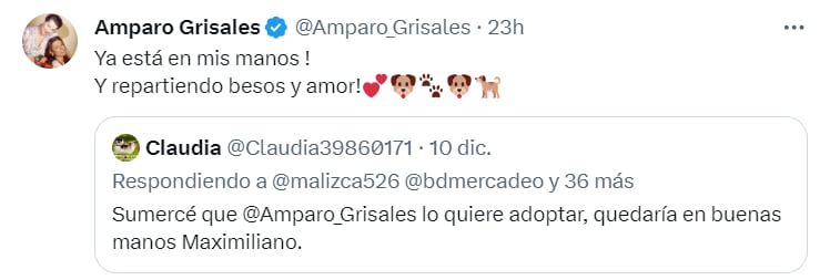 Max conquista el corazón de Amparo Grisales y sus seguidores - crédito @Amparo_Grisales/X