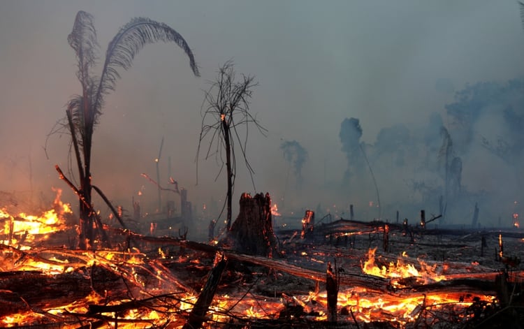Pese a que el gobierno de Brasil prohibiÃ³ los incendios, miles de focos nuevos se iniciaron en los Ãºltimos dÃ­as (Reuters)