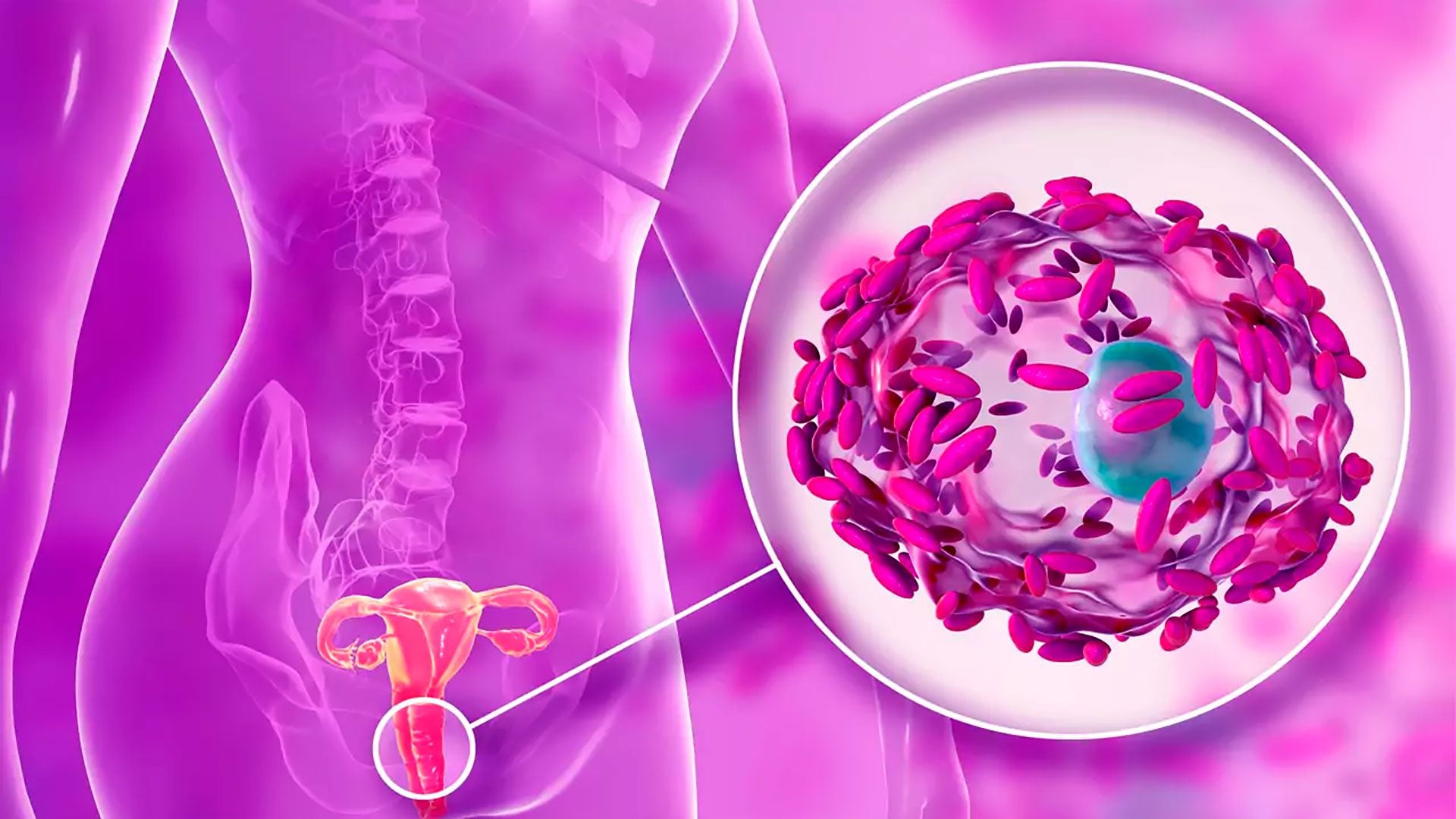 El microbioma vaginal es más diverso de lo que se creía: qué significa para la salud - Infobae