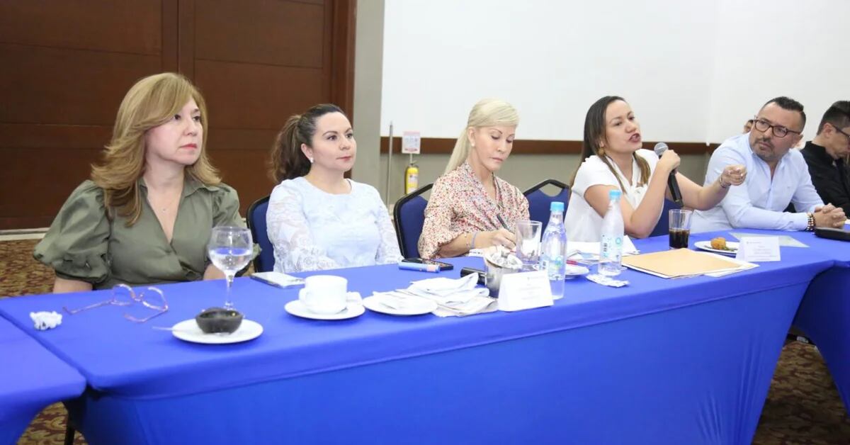 The Partido de la U was not satisfied with the explanations of Carolina Corcho on the health reform