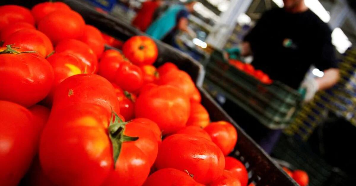 Spain blames cold weather and poor planning for UK fruit and veg crisis
