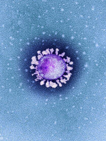 El 11 de enero, un equipo chino-australiano publicó en línea la secuencia genética del virus (National Infection Service/SPL)