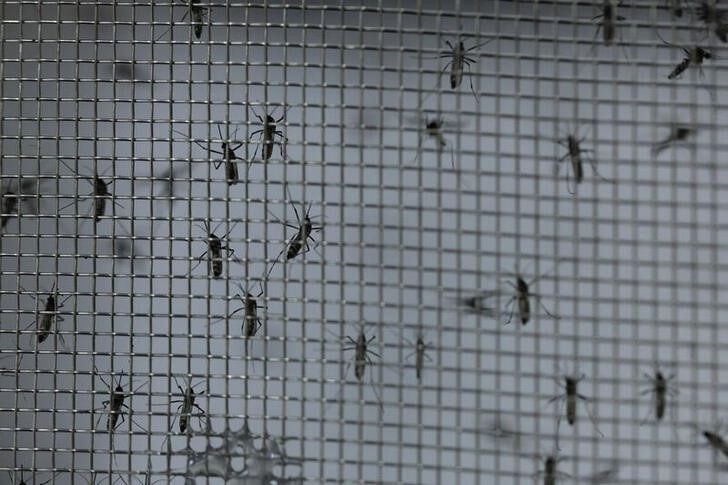 Mirtha Legrand expresó su preocupación por los casos de dengue en la Argentina (Foto: REUTERS/Carla Carniel)