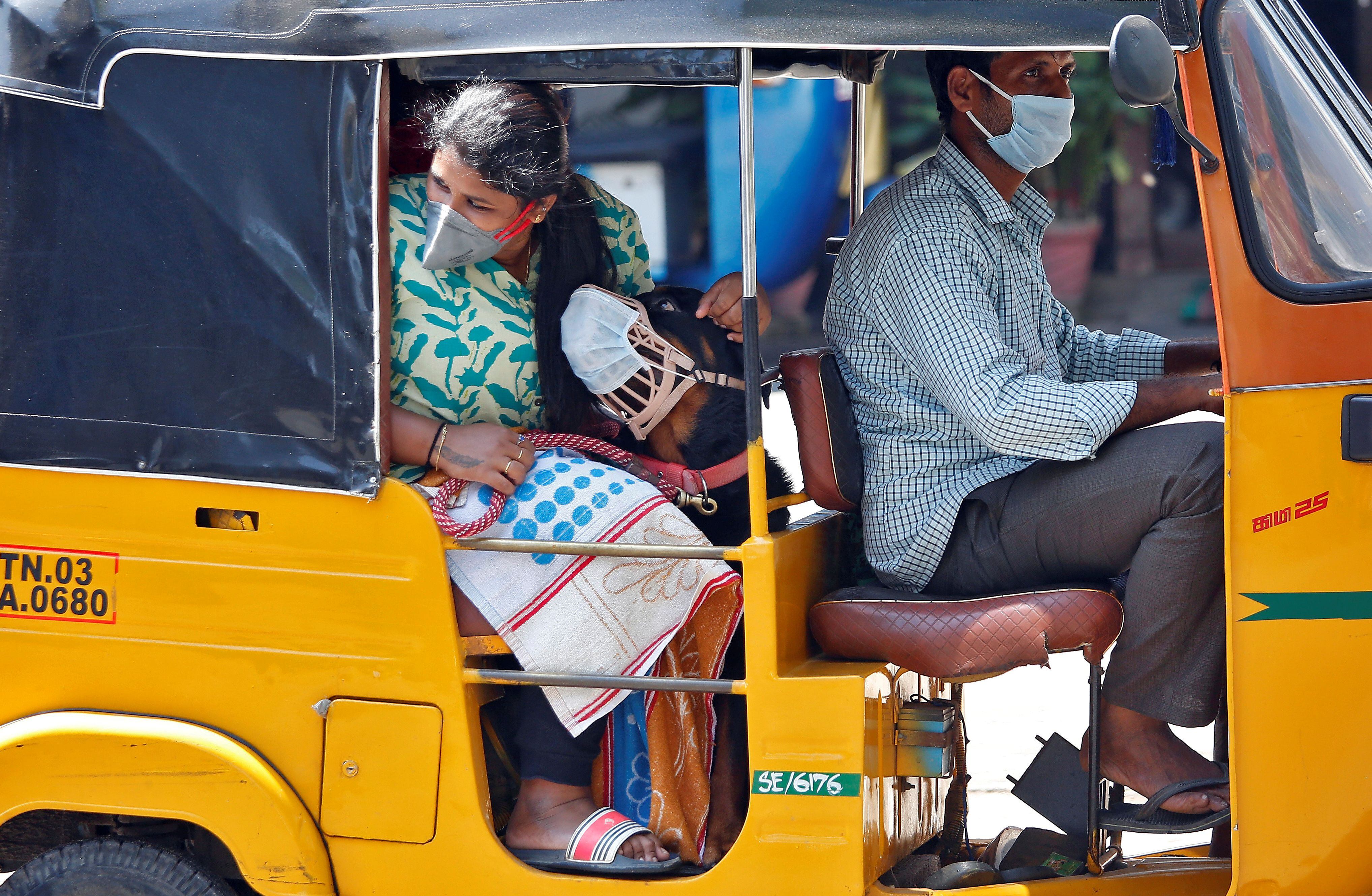 En India, una pasajera, su perro y el conducto de rickshaw utilizan barbijo. 