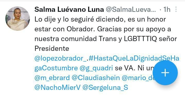 La diputada Salma Luévano agradeció a Andrés Manuel López Obrador por su apoyo (Foto: Twitter/@SalmaLuevano)