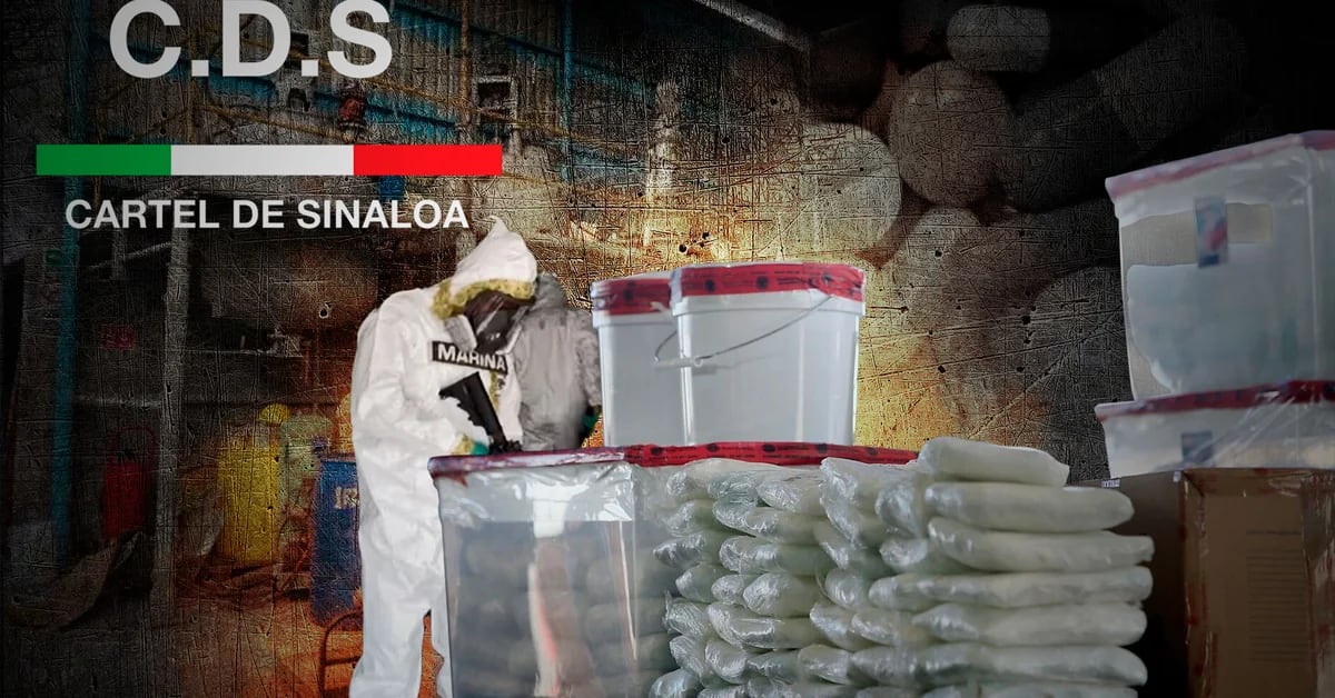 The Sinaloa Cartel’s Sophisticated Laboratories That Are in the Crosshairs of the United States