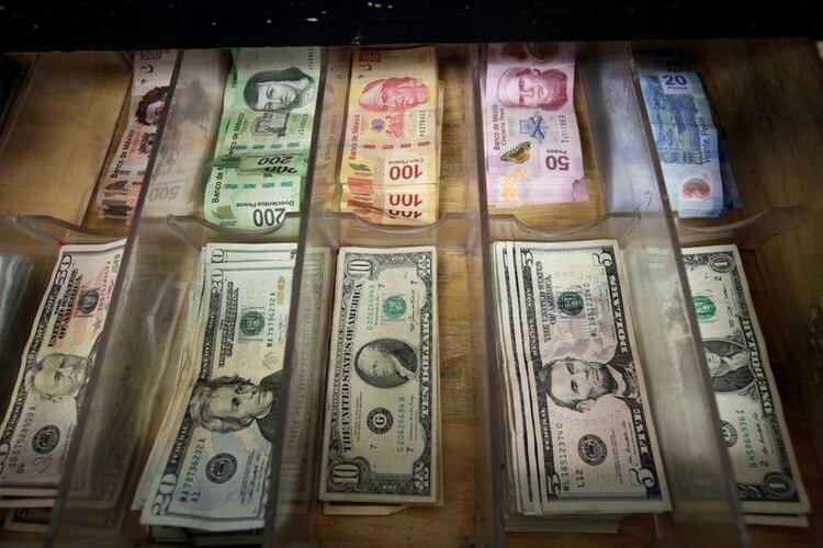 El 48% consideró que el dólar estará por debajo de los 20 pesos. (Foto: REUTERS/Jose Luis Gonzalez)