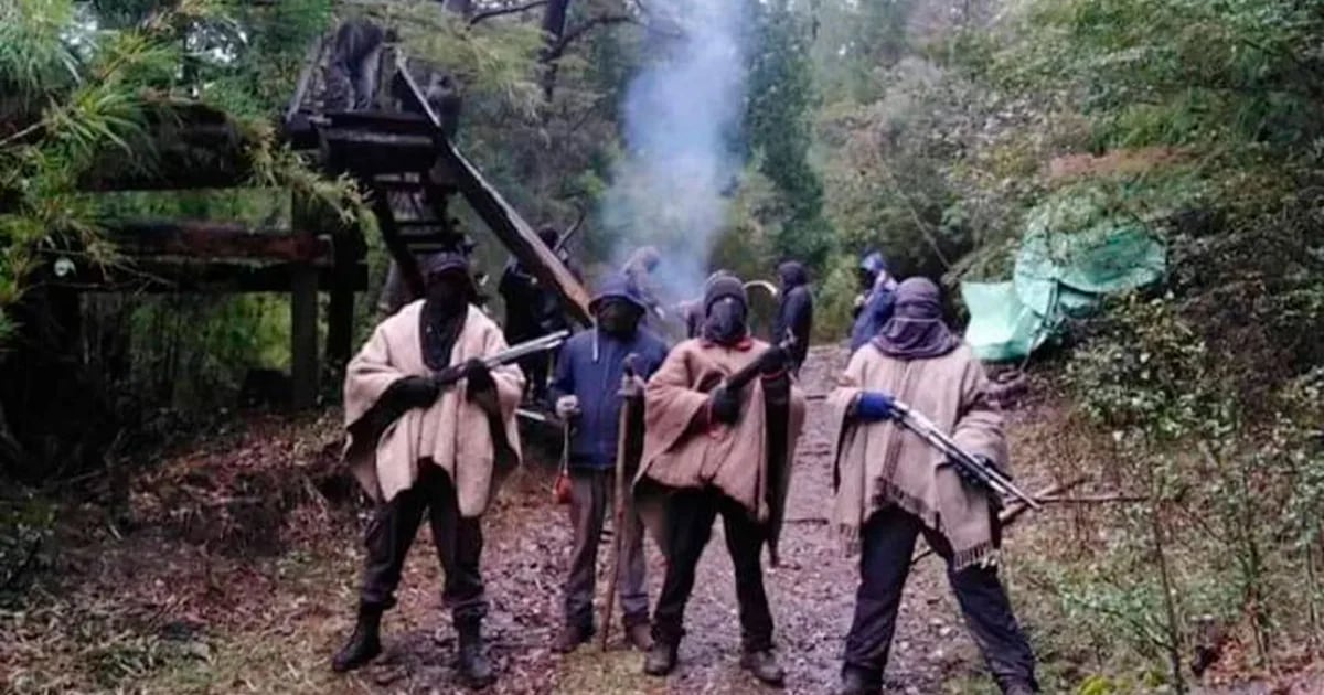 Which radical Mapuche groups continue the armed struggle in Chile after the decapitation of the CAM?