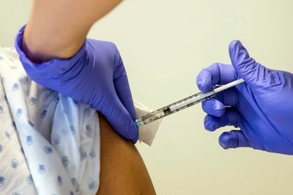 Argentina dio inicio a la tercera fase de pruebas de esta vacuna elaborada por Pfizer y BioNTech, después de haber sido elegida para ello a mediados de julio (EFE)
