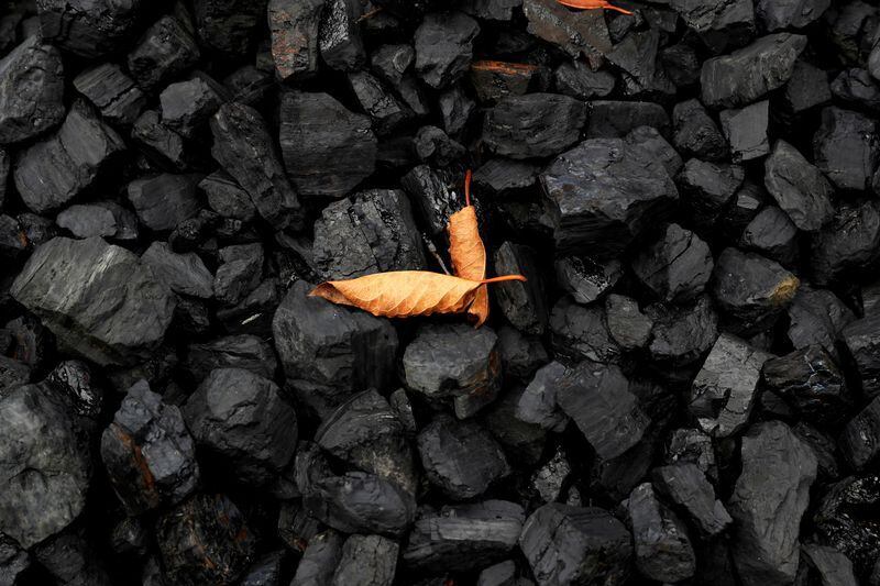 FOTO DE ARCHIVO: Dos hojas secas sobre una pila de carbón en Youngstown, en el estado de Ohio, Estados Unidos, el 30 de septiembre de 2020. REUTERS/Shannon Stapleton
