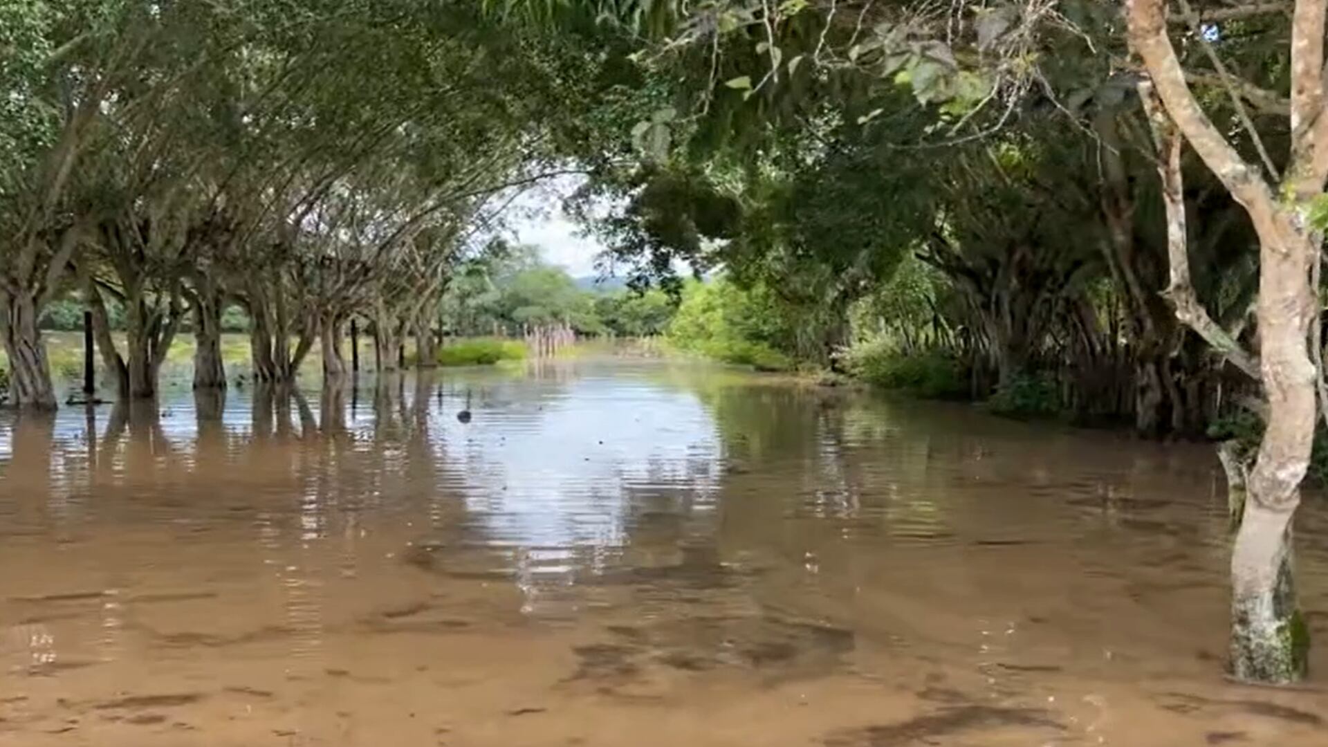 Río Mayo se desborda e inunda varias viviendas y carretera en Tarapoto
