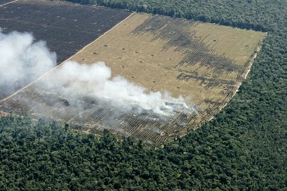 FILE PHOTO: Hundreds of hectares of former Amazon jungle destroyed by loggers and farmers lie next to virgin rainforest in Mato Grosso State, one of the Brazilian states of greatest deforestation, May 18, 2005. REUTERS/Rickey Rogers/File Photo