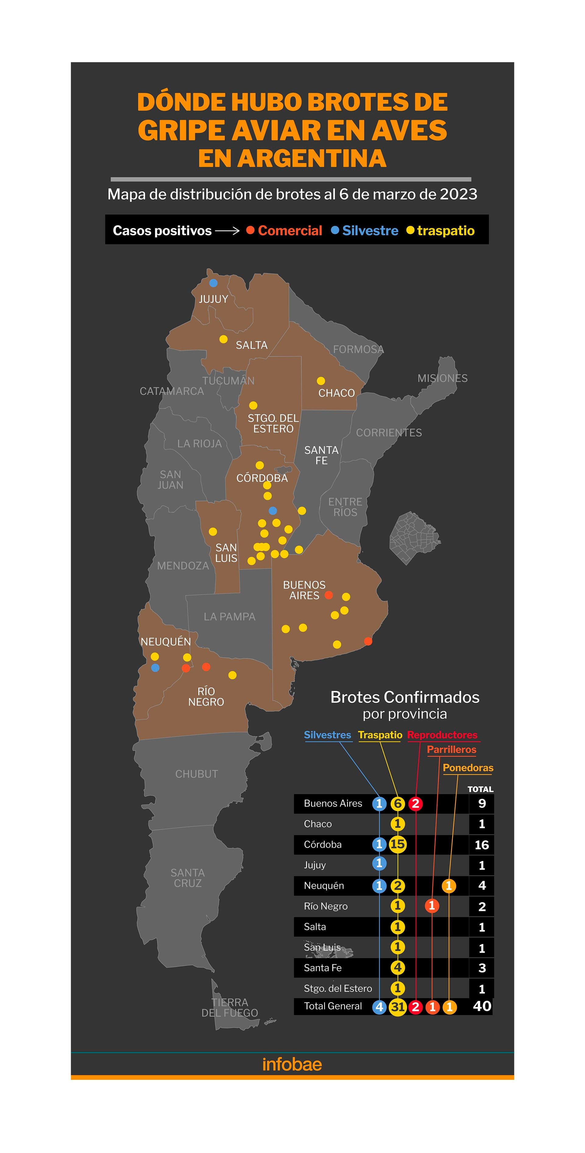 Mapa-de-gripe-aviar-en-Argentina-al-9-de-marzo-de-2023