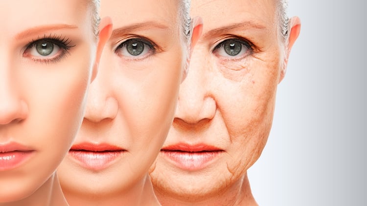 La primera de envejecimiento ocurre a los 34 años, la segunda sucede a los 60, y la tercera a los 78 (Shutterstock)