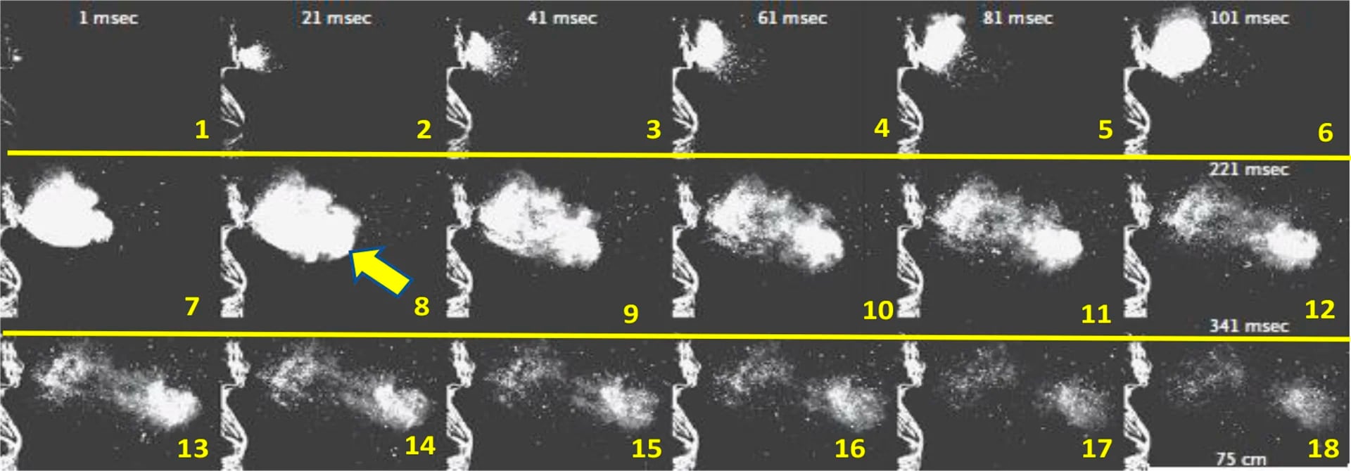Estornudo con 1000 f/s. En estos 18 cuadros 20 mseg de diferencia se observa el desarrollo de la gran Nube de Gas Turbulenta que atrapa el aire ambiente. Se observa en cuadrados 3, 4 y 5 el comienzo de la Nube de Gas Turbulenta, y en los nro. 6, 7, 8 y 9 su expansión. En los cuadrados finales el inicio de la dispersión, con ya deshidratación de las microgotas con diferentes tamaños. (A Sneeze. Lydia Bourouiba, N Engl J Med 2016; 375:e15 DOI: 10.1056)
