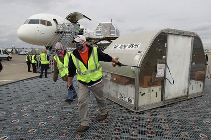 Empleados acarrean una de dos cargas de vacunas en la rampa del aeropuerto Muhammad Ali de Louisville, Kentucky (Michael Clevenger/Pool via REUTERS)