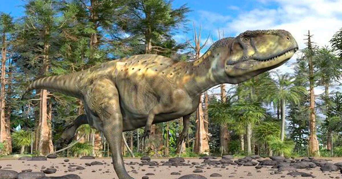Al contrario de lo que se creía, los dinosaurios tenían sangre caliente,  según una investigación - Infobae