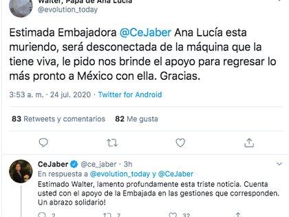 Así fue la respuesta de la embajadora de México en Suiza, Cecilia Jaber, al padre de Ana Lucía. (Foto: Captura de pantalla)